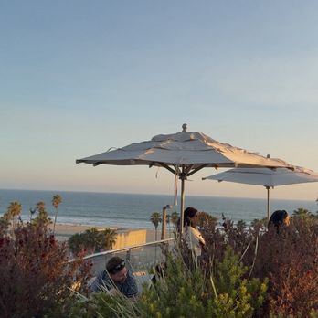 Kassi Venice Beach - Bars Near Me - Venice, California