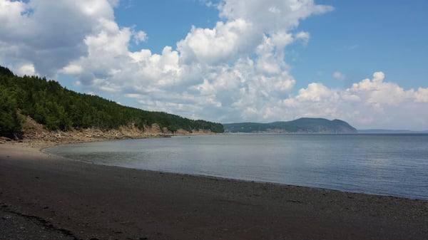 Fundy National Park Of Canada by null