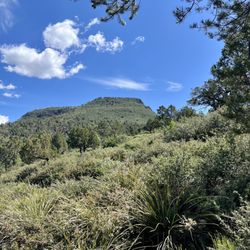 Pine Trailhead
