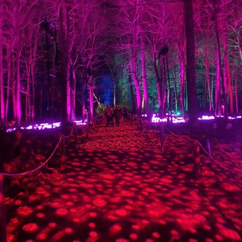 Harry Potter - A Forbidden Forest Experience - Gorgeous colors - Walking Tours Near Me - Yorktown Heights, New York Harry Potter - A Forbidden Forest Experience - Gorgeous colors - Walking Tours Near Me - Yorktown Heights, New York