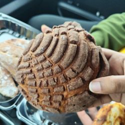 Amigon's Bakery - Chocolate Concha - Mexican sweet bread