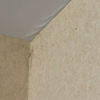 Comfort Suites Near Gettysburg Battlefield Visitor Center - Mold in bathroom along the ceiling - Hotels Near Me - Gettysburg, Pennsylvania