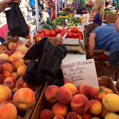 Ferguson Farmers Market by null