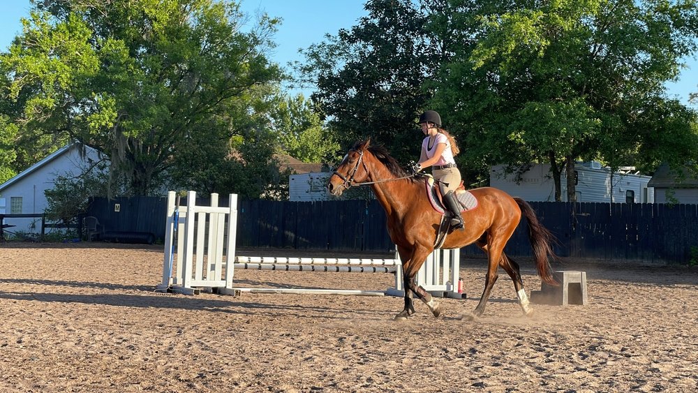 AAA Equestrian - equestrian in Orlando, FL