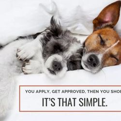 BoxDrop Holland - It's time to love your bed again. Apply for our No Credit Needed payment option!