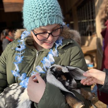Shaka Alpaca Farm - Petting Zoos Near Me - Murphy, North Carolina