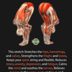 Serenity Massage Therapy and Spa - One stretch, many benefits!