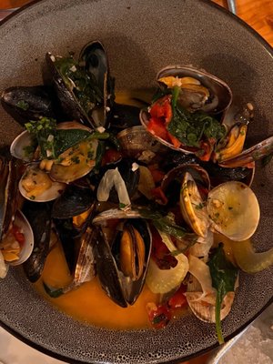 The Shuckery by null