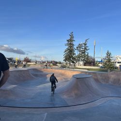 Trinity Skate