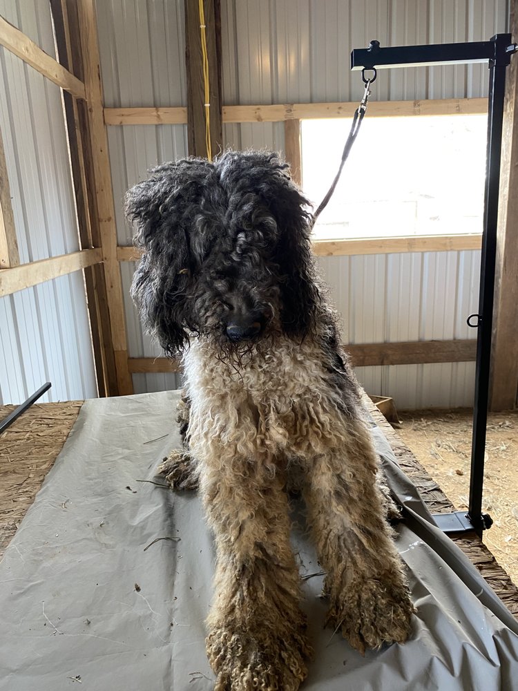 THE K9 BARBER Clarksville, Tennessee Pet Groomers Phone Number