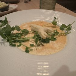 Little Fern - Lobster Bisque