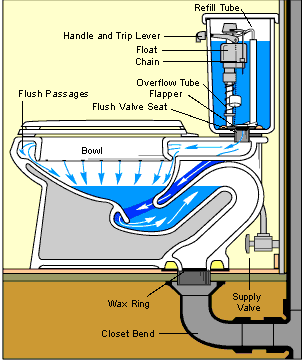 Slide of Totally Toilets