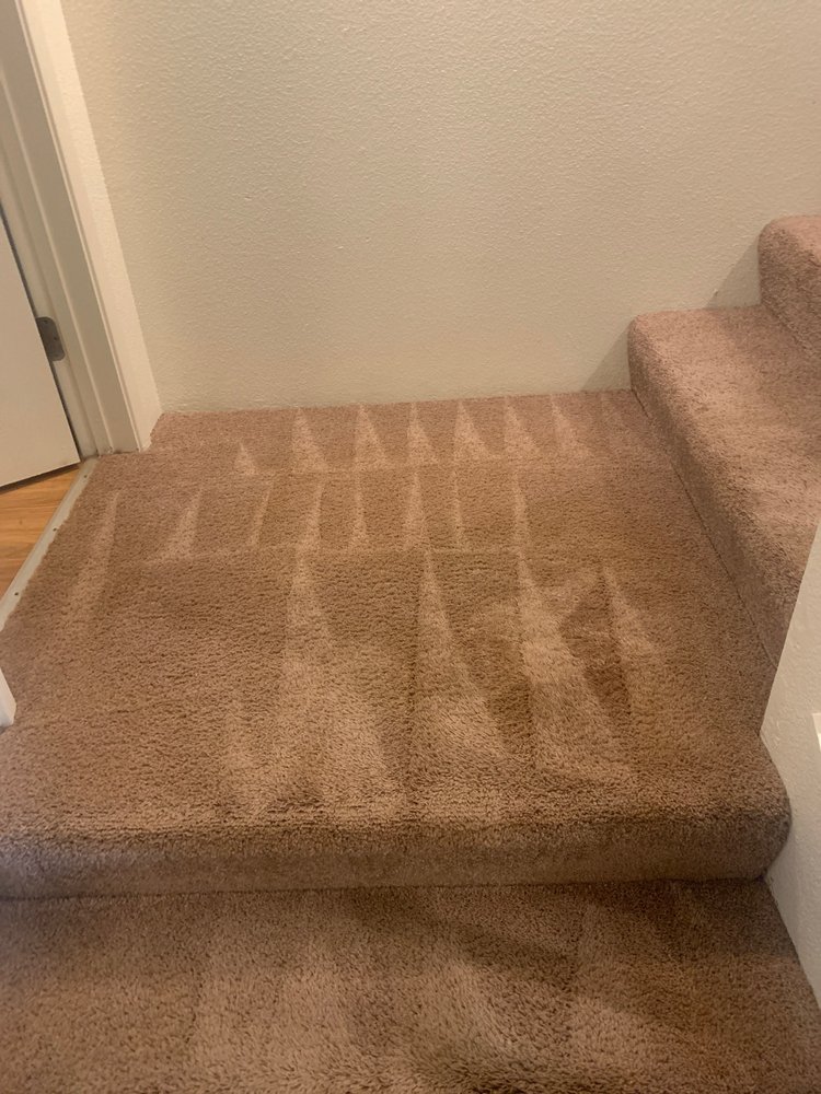 RED CARPET CLEANING SERVICE Updated September 2024 53 Photos & 53