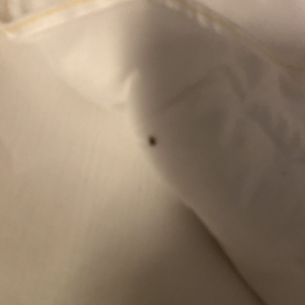 Hampton Inn Chicago McCormick Place - BED BUGS - Hotels Near Me - Chicago, Illinois