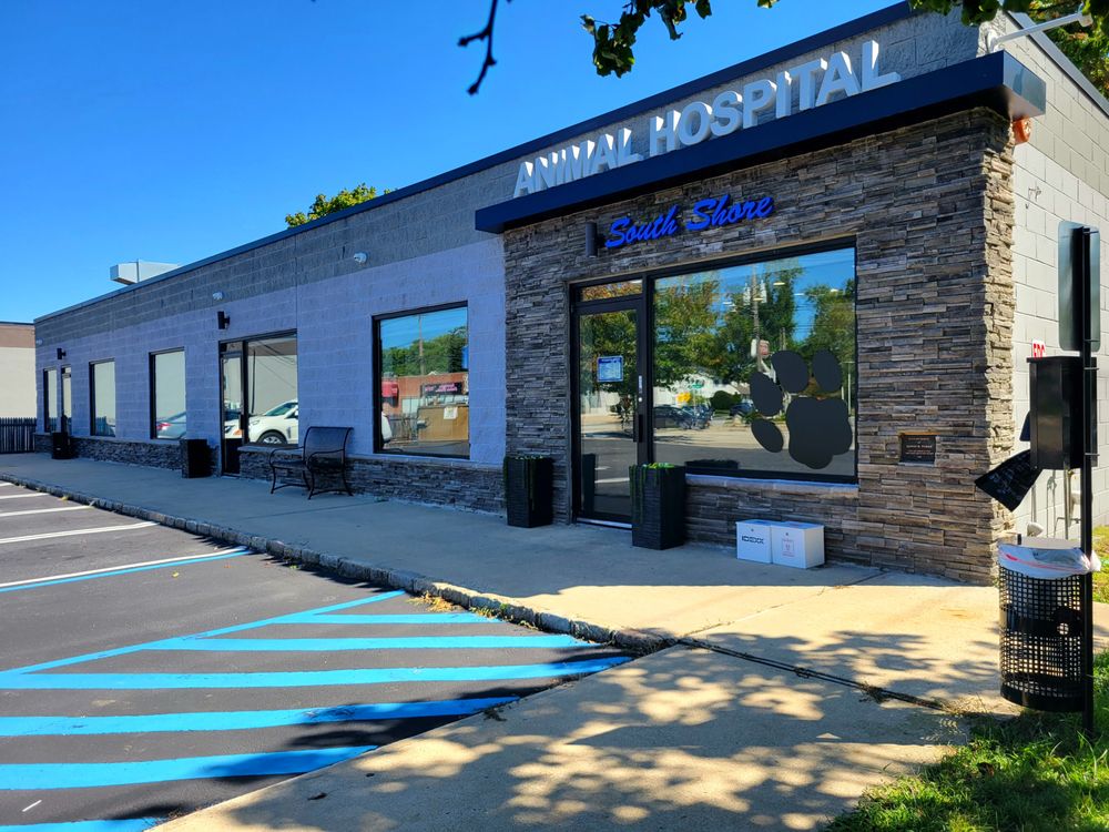 SOUTH SHORE ANIMAL HOSPITAL Updated August 2024 26 Photos & 31
