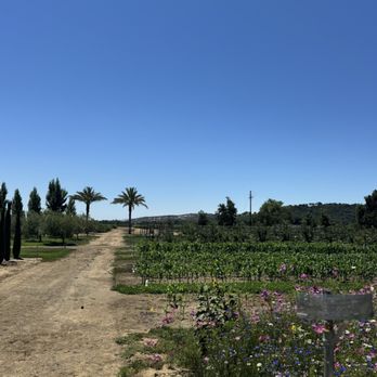 Caymus Suisun Winery - Wine Tasting Room Near Me - Fairfield, California