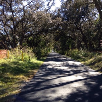Upper Tampa Bay Area Trail - Nice and peaceful - Hiking Near Me - Tampa, Florida