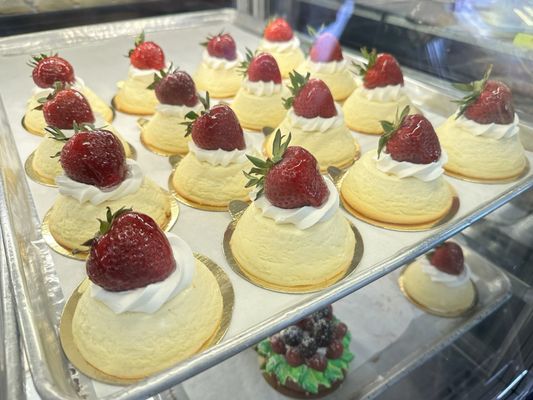 Catania Bakery by null