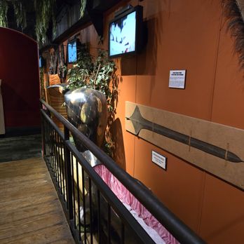 Ripley's Believe It or Not! - Tours Near Me - Saint Augustine, Florida Ripley's Believe It or Not! - Tours Near Me - Saint Augustine, Florida