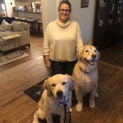 Uber Dog Training
