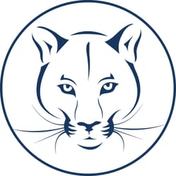 Precision Accounting & Tax Service