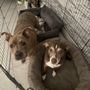 Photo of Veterinary Medical Center at LWR