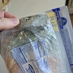 Moldy Deli Meat Moldy Deli Meat