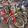Hollywood Bicycle Center gift card