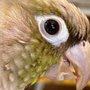 Photo of Footloose Veterinary Services