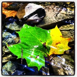 Cleveland Metroparks