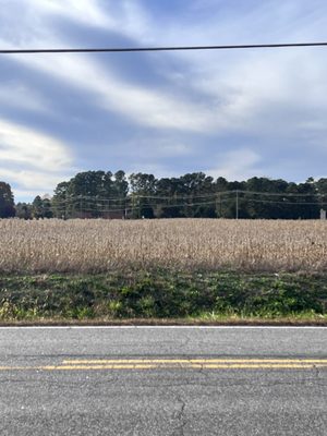 Cold Harbor Battlefield Visitor Center by null