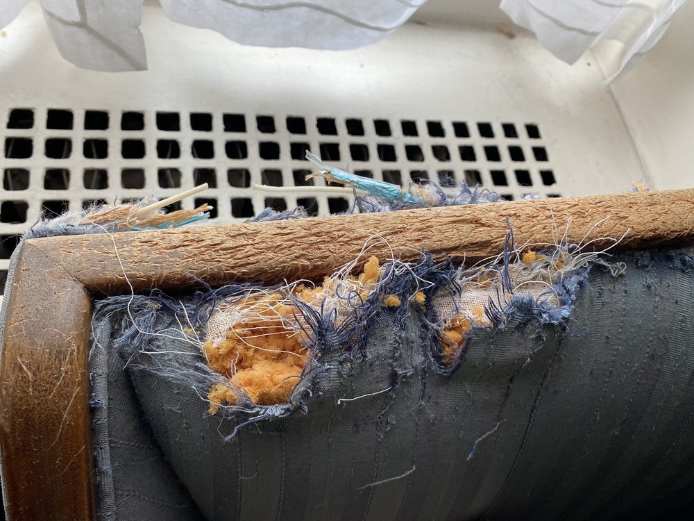 HC CUSTOM UPHOLSTERY Updated August 2024 83 Photos & 12 Reviews