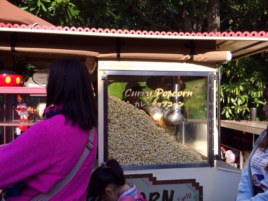 Tokyo Disneyland by null