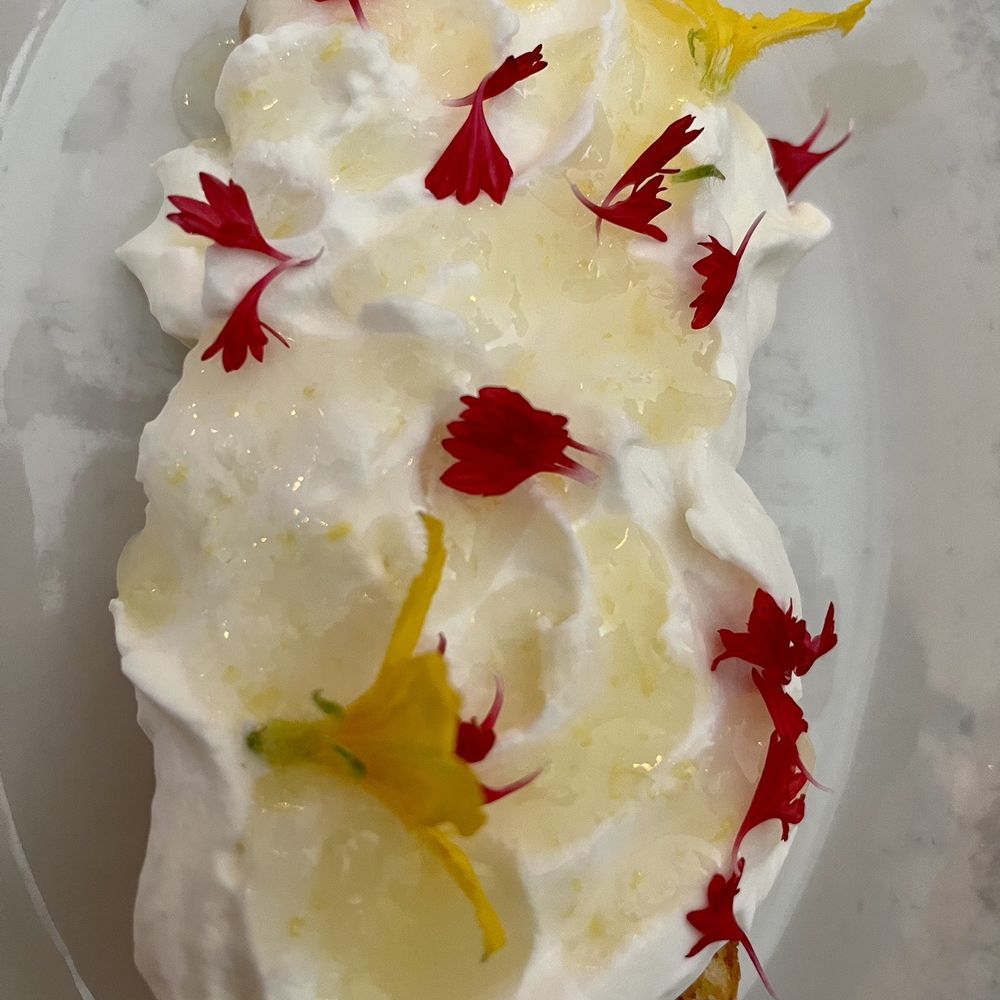 Hyacinth - Lemon ricotta cake - Italian Near Me - Saint Paul, Minnesota Hyacinth - Lemon ricotta cake - Italian Near Me - Saint Paul, Minnesota