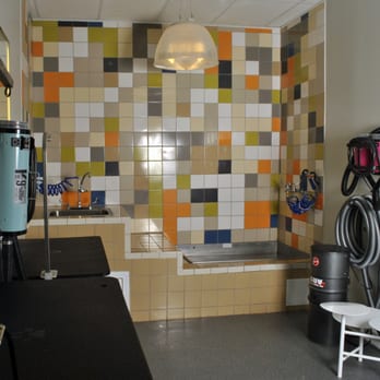 City Pets - Clean and Tidy Bathing area. - Pet Groomers Near Me - Chicago, Illinois