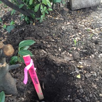 BGT Land Surveying - Land Surveying Near Me - San Mateo, California BGT Land Surveying - Land Surveying Near Me - San Mateo, California