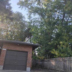 A&Y Tree Services - Very close quarters where trees were taken out. Nice job well done