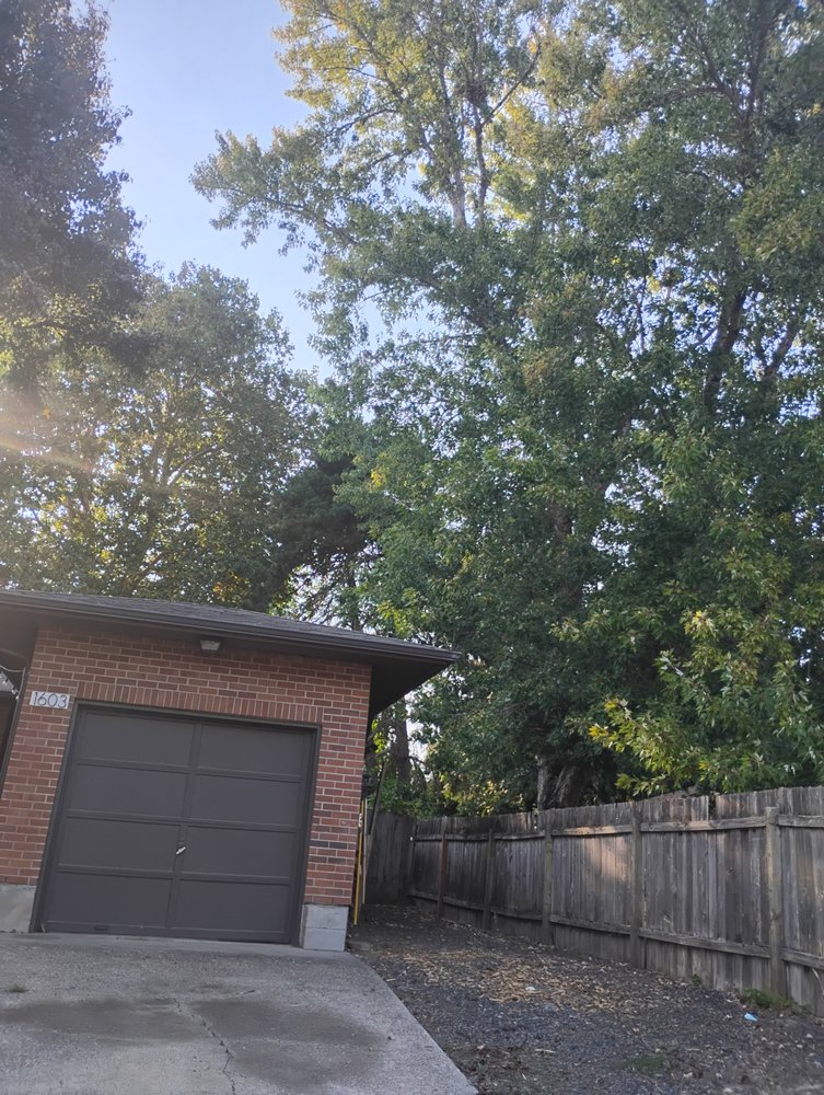 A&Y Tree Services - tree service in Salem, OR