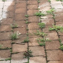 I've messaged you attachments showing how filthy me property was left after your service yesterday It is unacceptable and I expect you to ar I've messaged you attachments showing how filthy me property was left after your service yesterday It is unacceptable and I expect you to ar