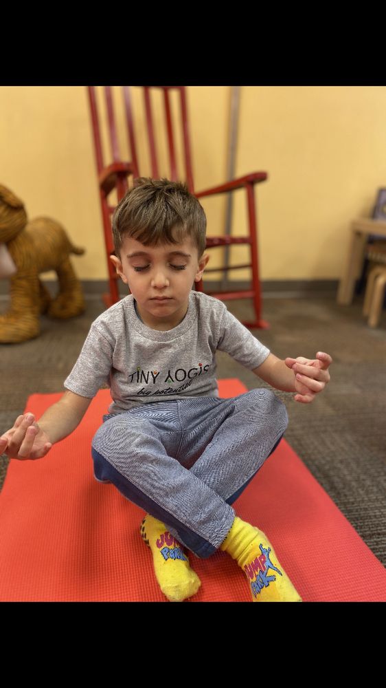 The Harmony School of Decatur - childcare center in Decatur, GA