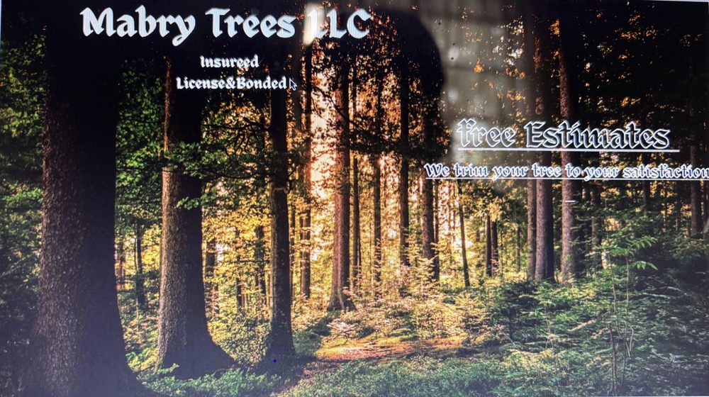 Mabry Trees - tree service in Memphis, TN
