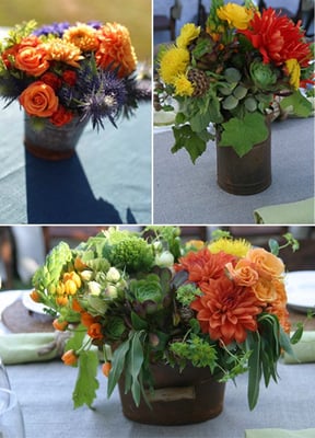 Hugs & Kisses by null