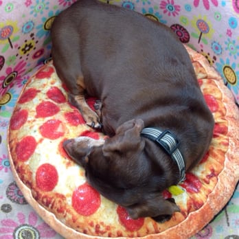 Camp Barkalot - Pizza with extra sausage - Pet Sitting Near Me - Salt Lake City, Utah Camp Barkalot - Pizza with extra sausage - Pet Sitting Near Me - Salt Lake City, Utah