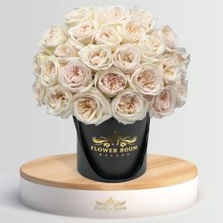 Flower Boom Dallas - O'Hara white garden roses with delicate fragrance.