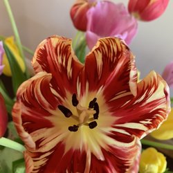 Keller Williams Realty - Chattanooga - Take a moment to smell the flowers everyday.