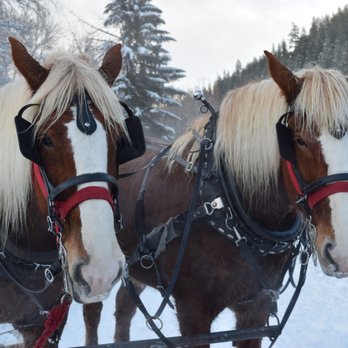 Eagle Creek Ranch - Horseback Riding Near Me - Leavenworth, Washington