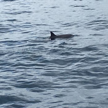 Blue Dolphin Charters - Boating Near Me - Eleele, Hawaii