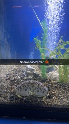 Biomes Marine Biology Center by null