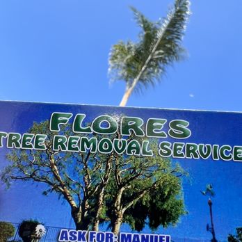 Tree Services Flores - there is the number, call it - Tree Services Near Me Tree Services Flores - there is the number, call it - Tree Services Near Me
