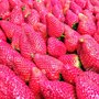 Photo of Ay Madre de la Fruta